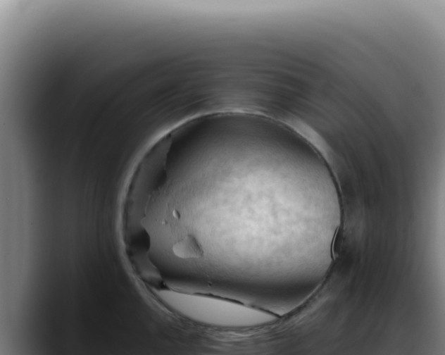X0000088411144200705291444