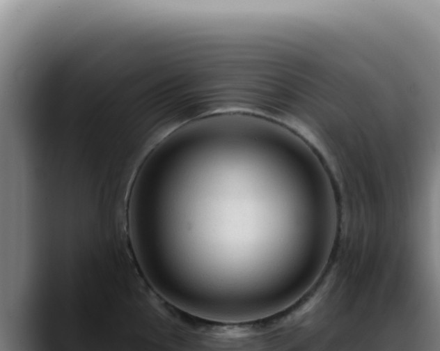 X0000088411145200705291444