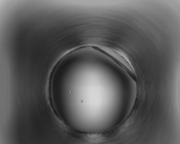 X0000088411147200705291444