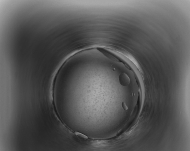 X0000088411148200705291444