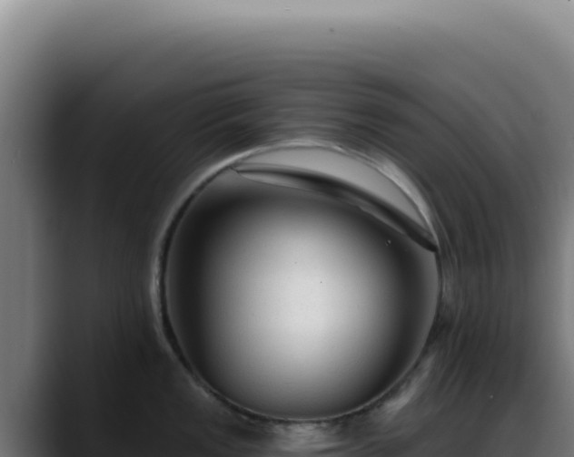 X0000088411149200705291444