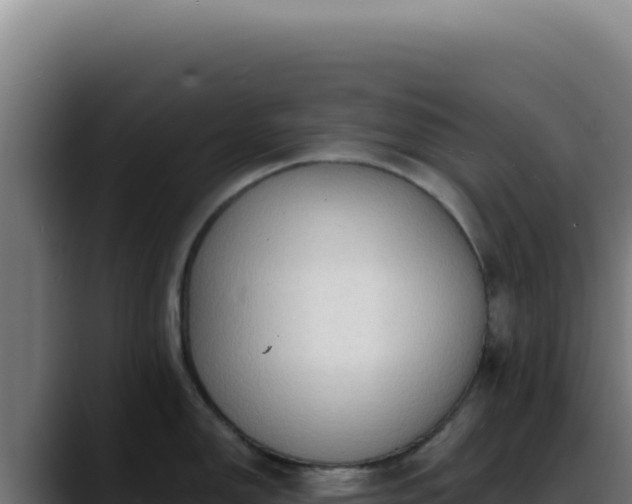 X0000088411150200705291444