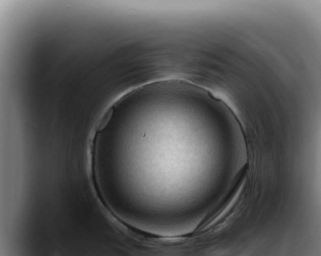 X0000088411151200705291444