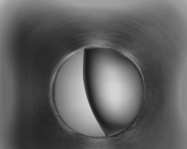 X0000088411152200705291444