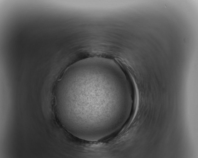 X0000088411153200705291443