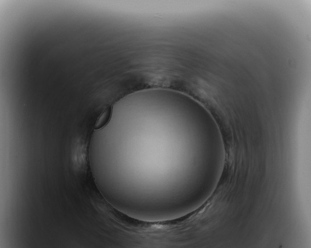 X0000088411154200705291443