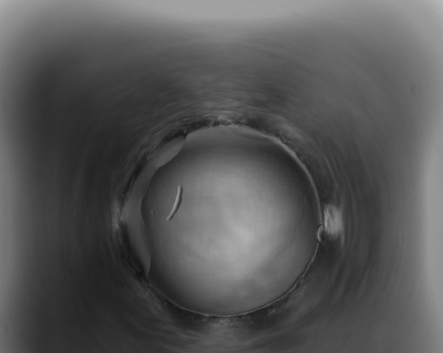 X0000088411155200705291443