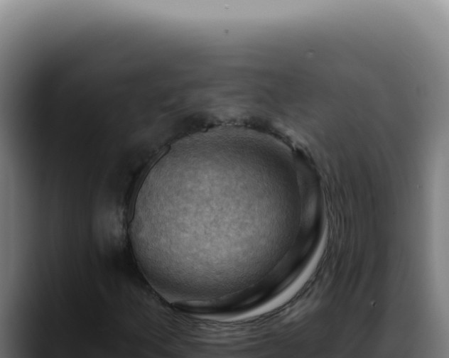 X0000088411156200705291443