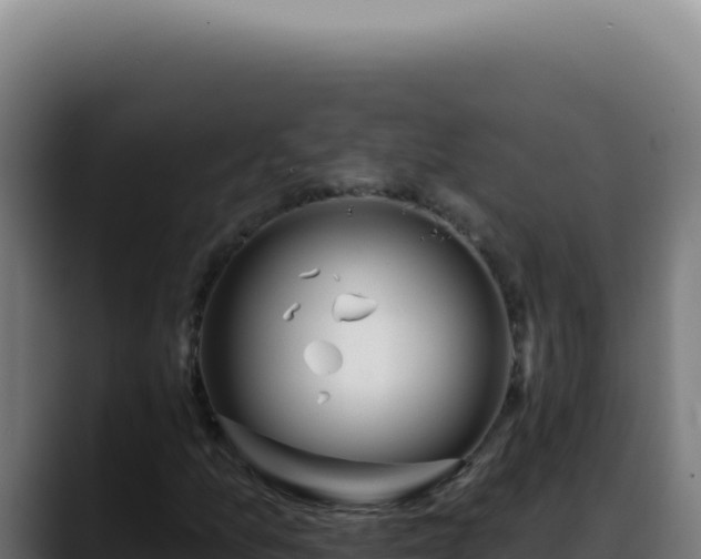 X0000088411157200705291443