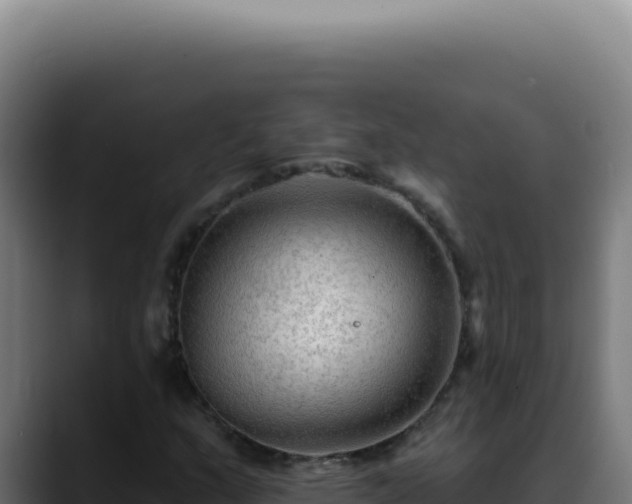 X0000088411159200705291443