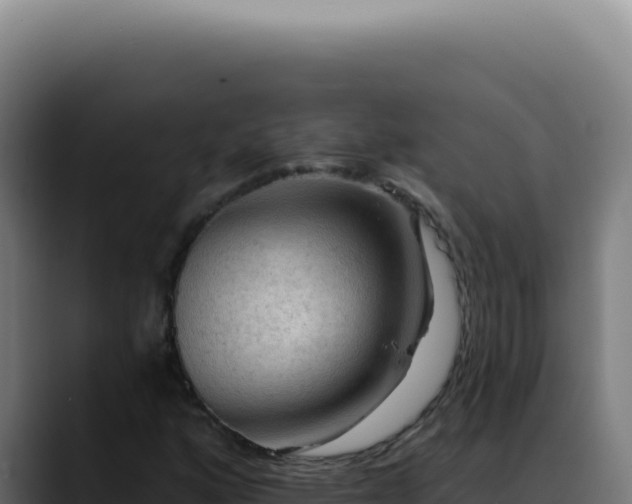 X0000088411160200705291443