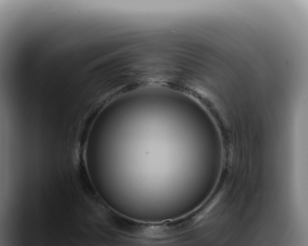 X0000088411161200705291443