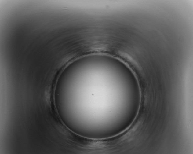 X0000088411162200705291443