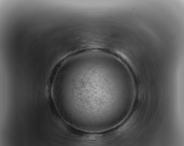 X0000088411163200705291443