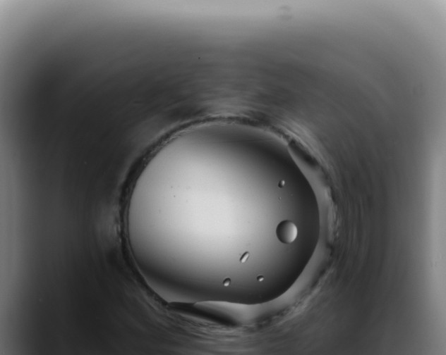 X0000088411164200705291443