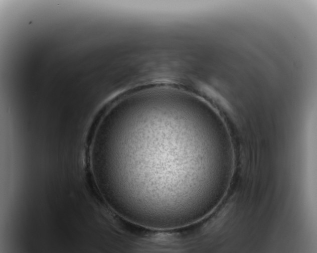 X0000088411166200705291443