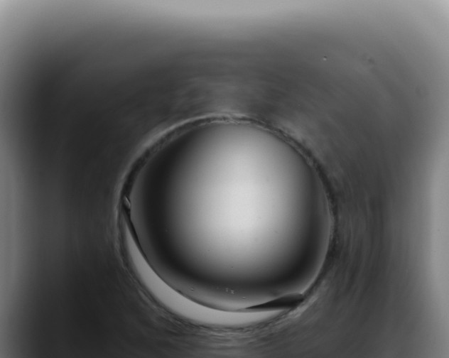 X0000088411168200705291443