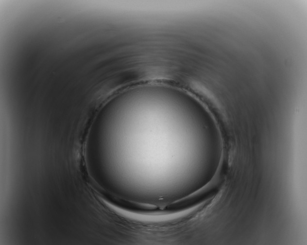 X0000088411169200705291443