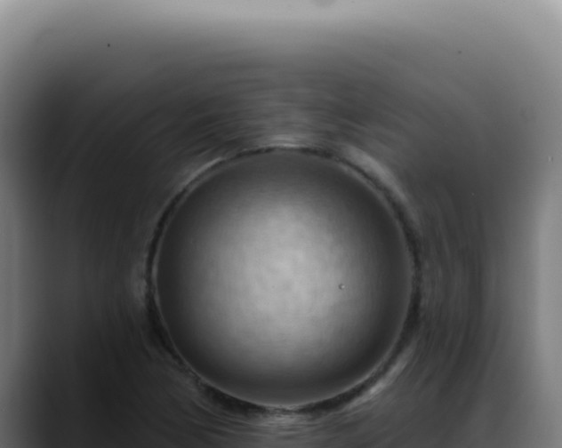 X0000088411170200705291443