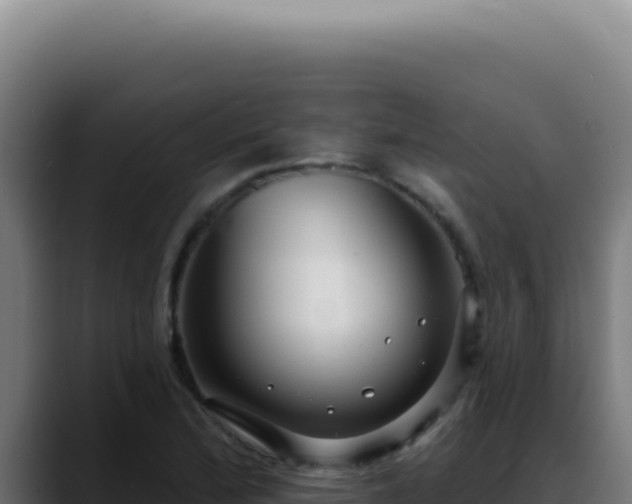 X0000088411172200705291443