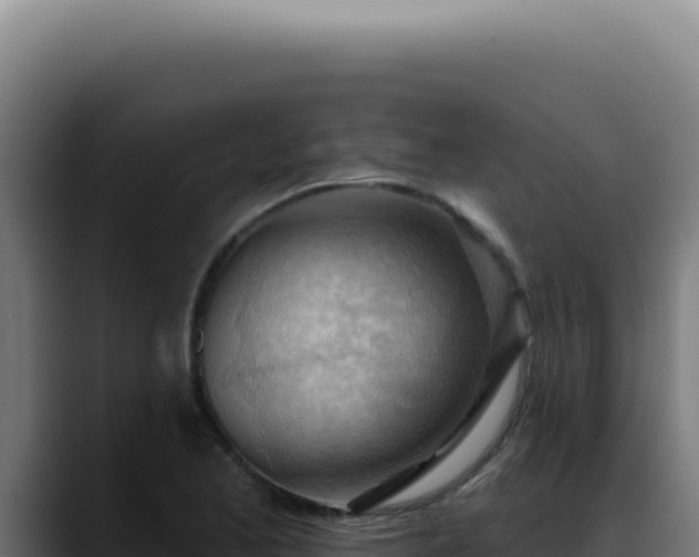 X0000088411173200705291443