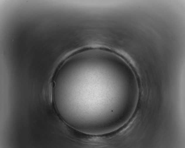 X0000088411175200705291443