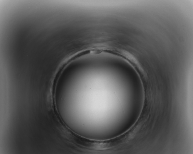 X0000088411176200705291443