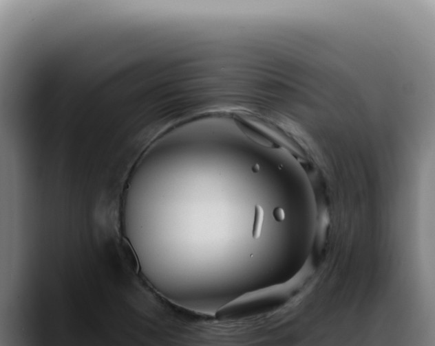 X0000088411177200705291443