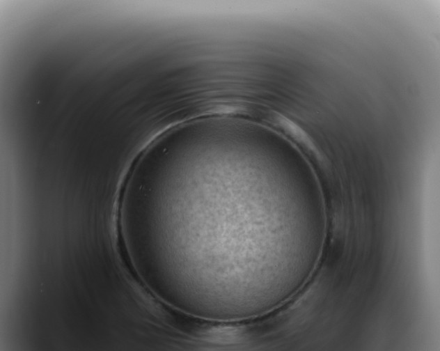 X0000088411178200705291443