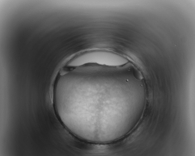 X0000088411180200705291443