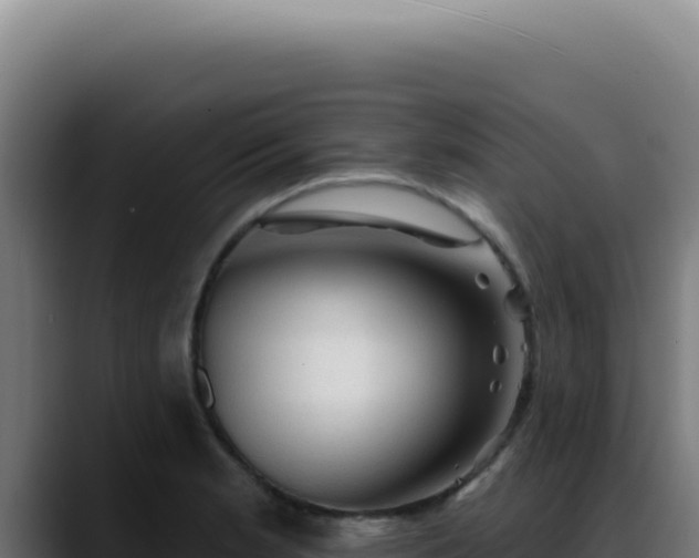 X0000088411181200705291443