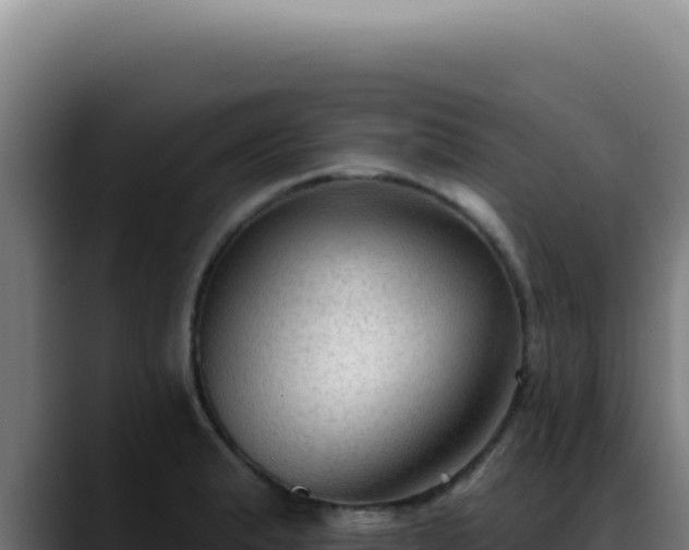 X0000088411183200705291443