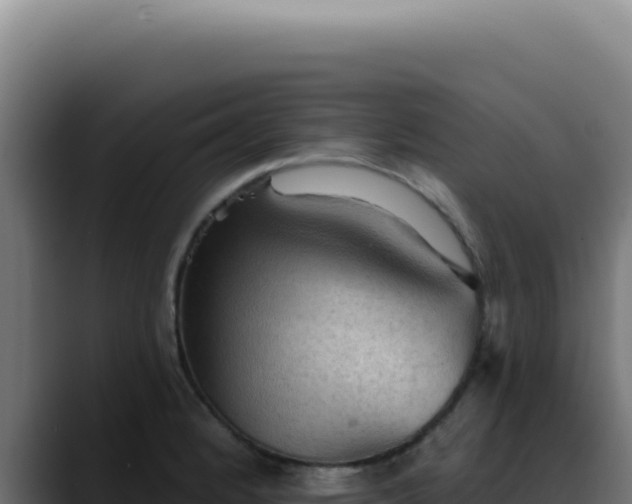 X0000088411184200705291443
