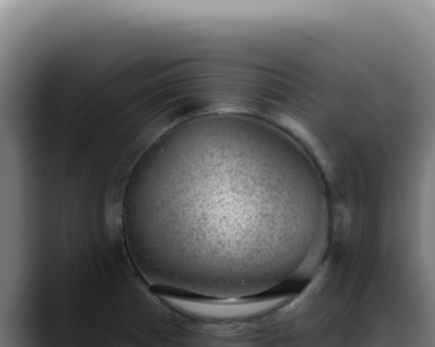 X0000088411185200705291443