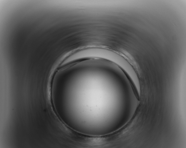 X0000088411188200705291443