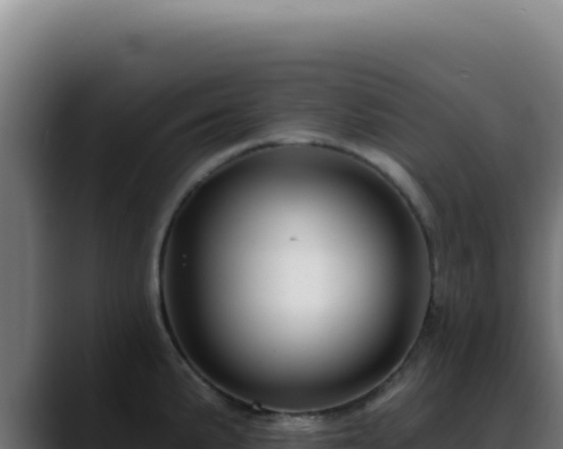 X0000088411191200705291443