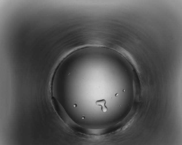 X0000088411192200705291443