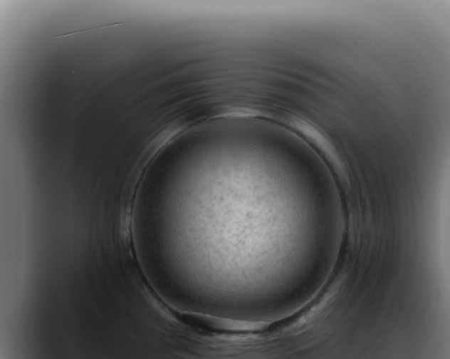 X0000088411193200705291443