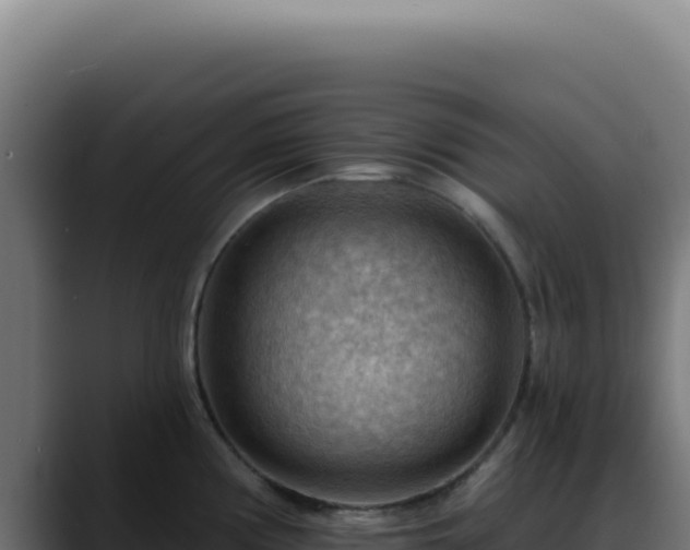 X0000088411194200705291443