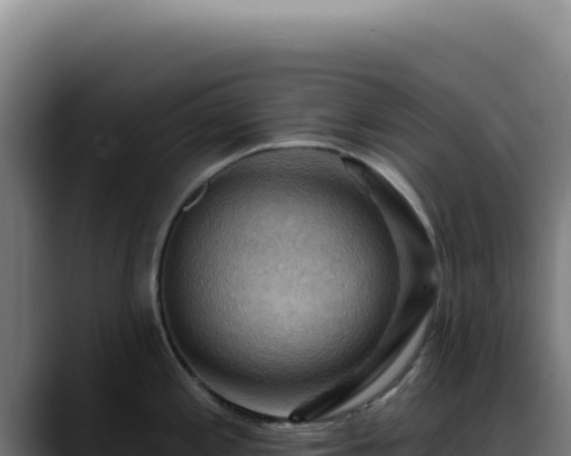 X0000088411197200705291443