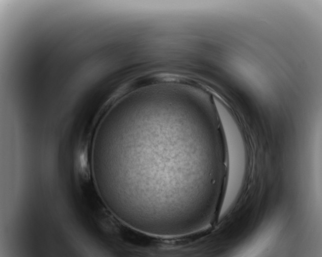 X0000088411198200705291443