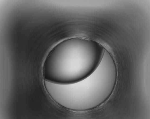X0000088411200200705291443