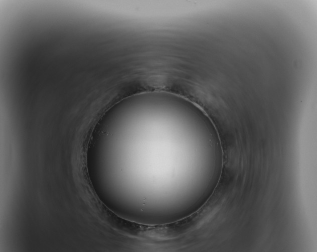 X0000088411201200705291442
