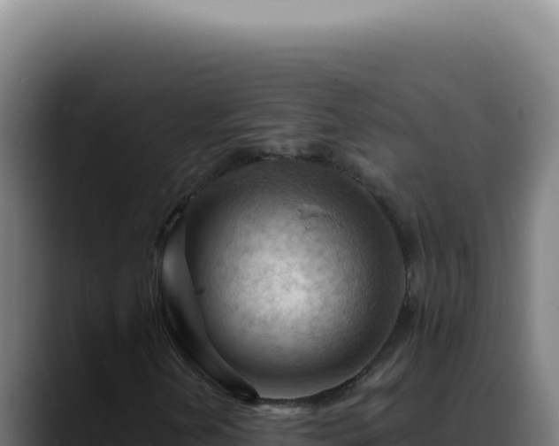 X0000088411202200705291442