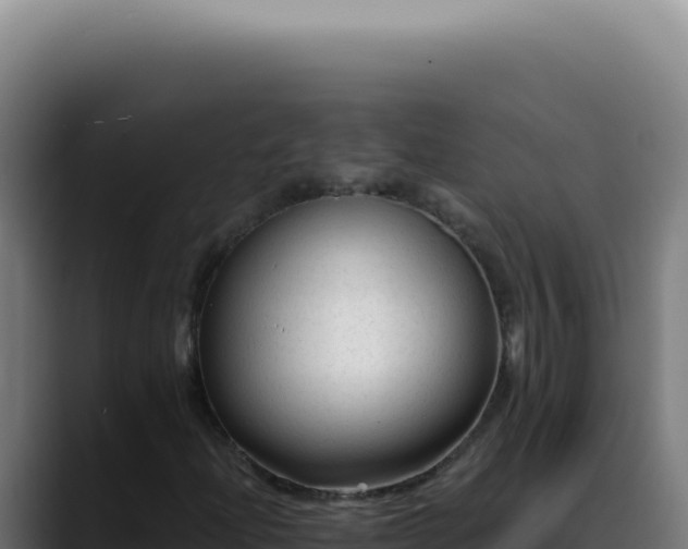 X0000088411204200705291442