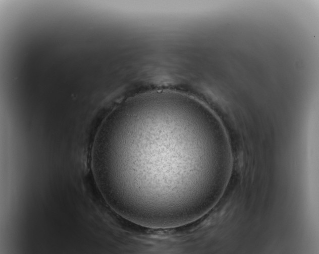 X0000088411205200705291442