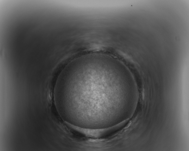 X0000088411206200705291442