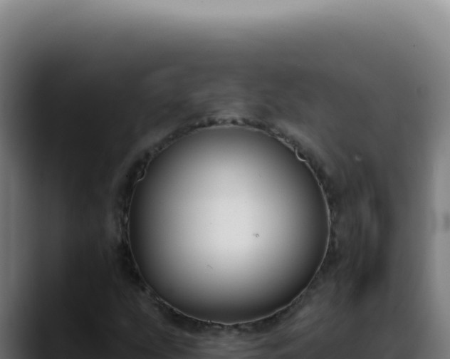 X0000088411207200705291442