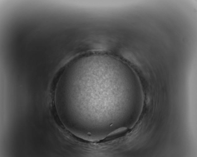 X0000088411208200705291442