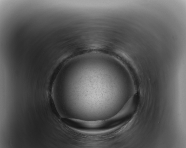X0000088411210200705291442